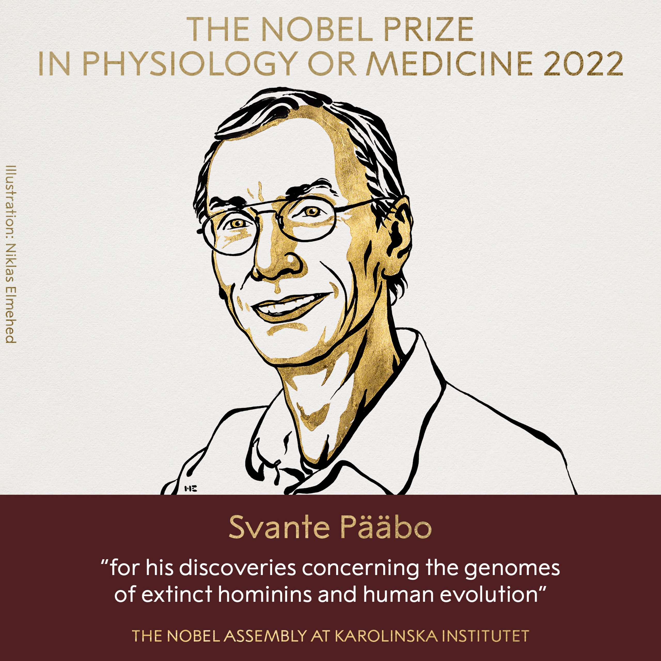 Homo Sapiens Family Tree Wins Nobel Prize In Medicine In 2022 Gadgetonus