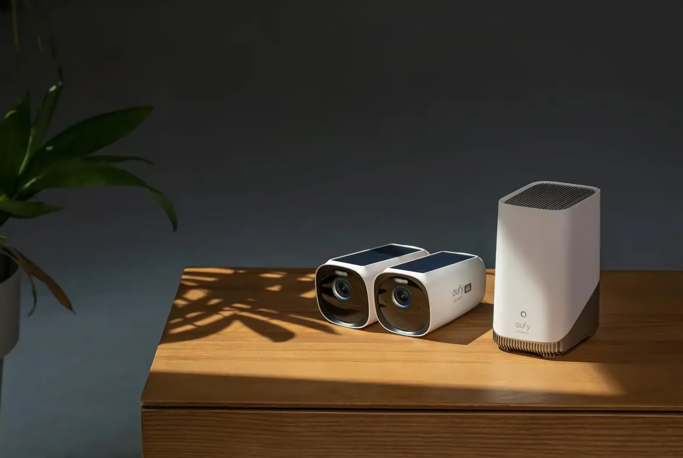 Eufy Cameras Not Recording Or Photographing - mks3y8q