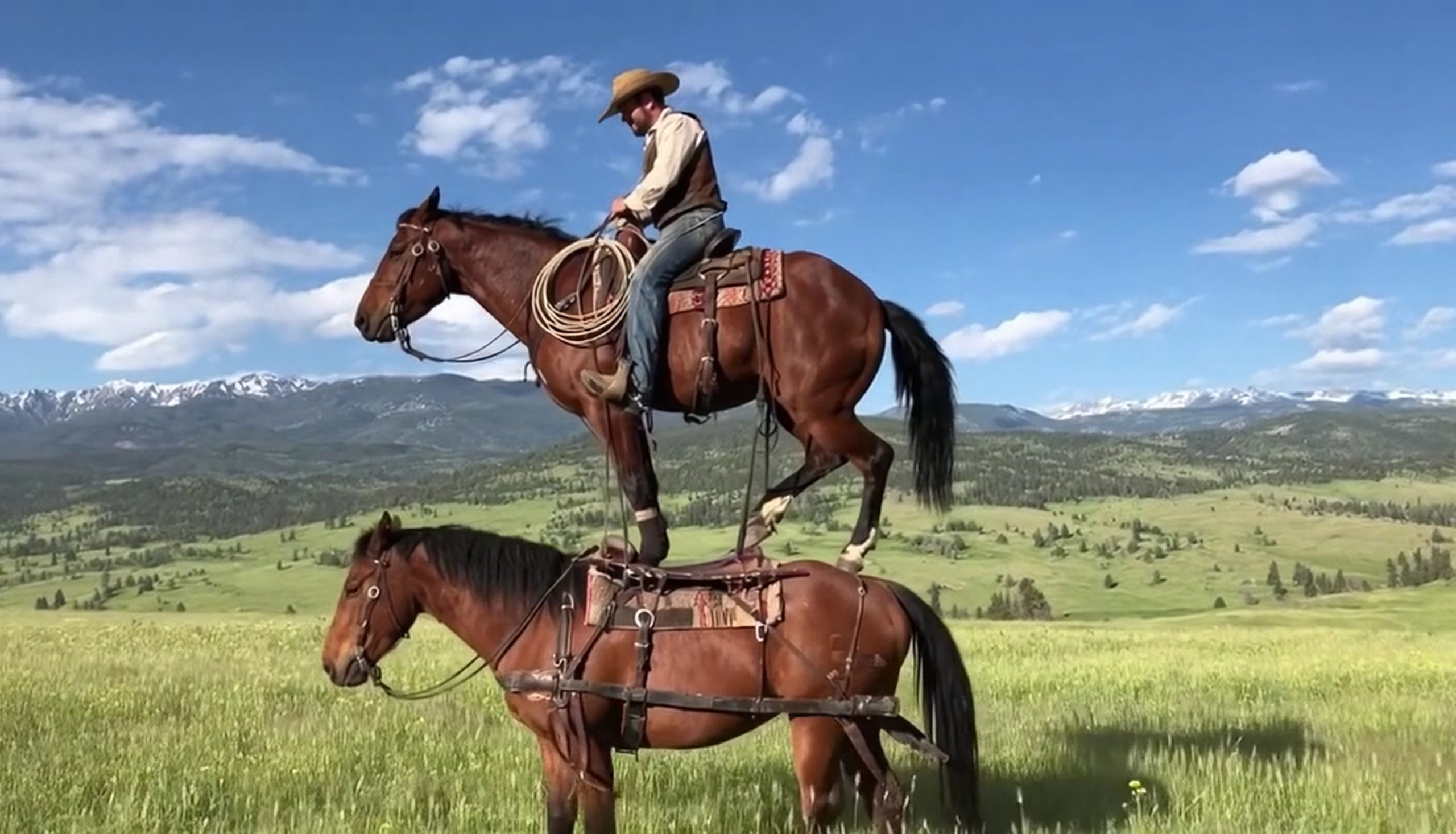 Sora 2 es oficial y debuta con su propia red social