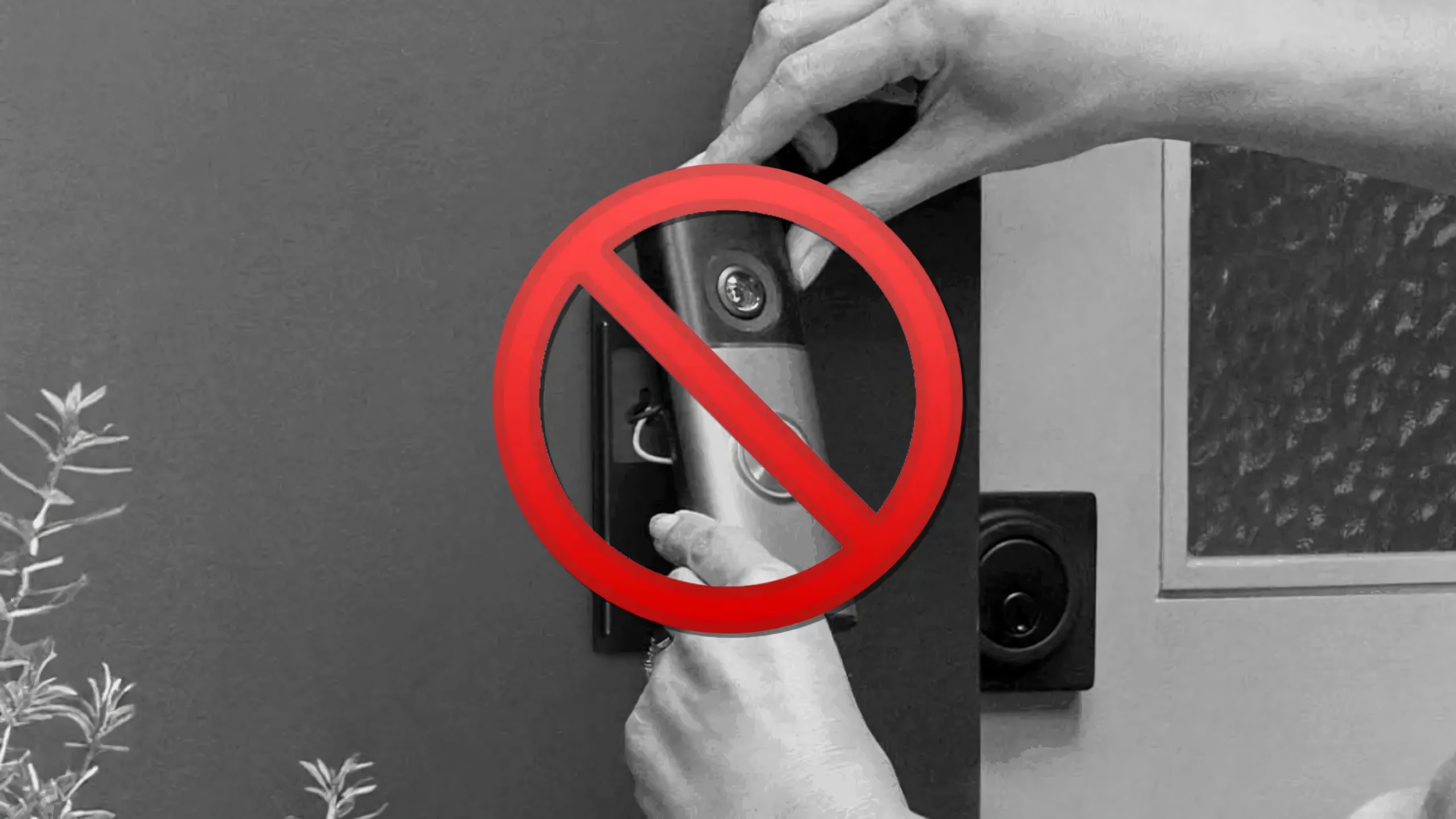 Boicot a Ring: usuarios destruyen las cámaras de Amazon por sus vínculos con el ICE