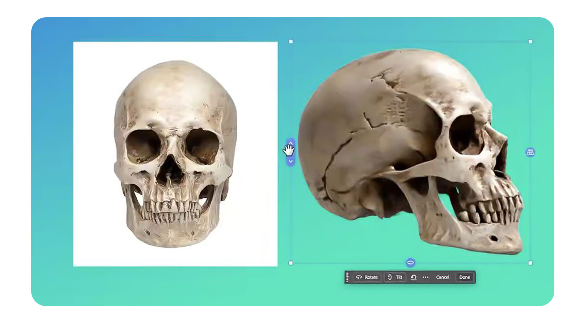 Photoshop añade una IA que transforma tus fotos en modelos 3D