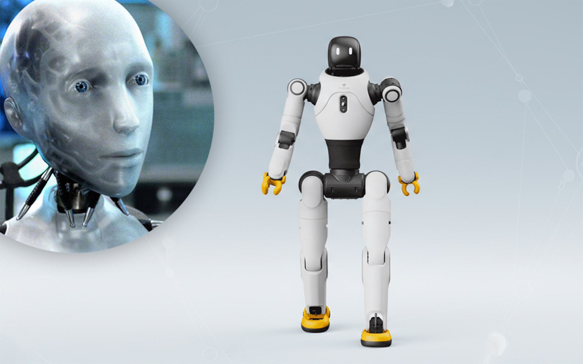 El robot que te lleva el sushi a la mesa podría volverse loco: ya ha pasado en un restaurante de California