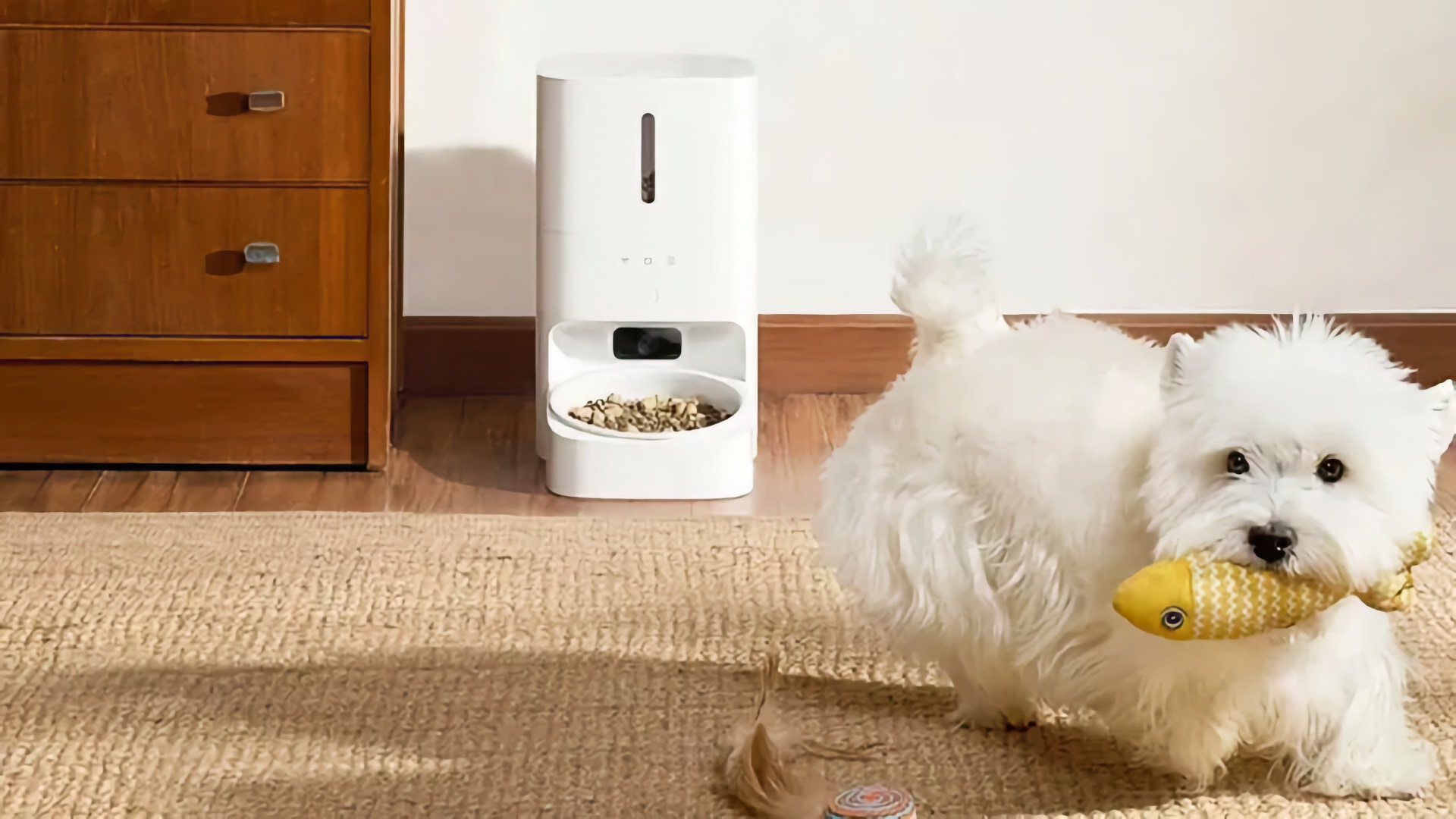 Xiaomi pone a la venta el mejor producto para tu mascota: un comedero inteligente 2 en 1 a un precio absurdo