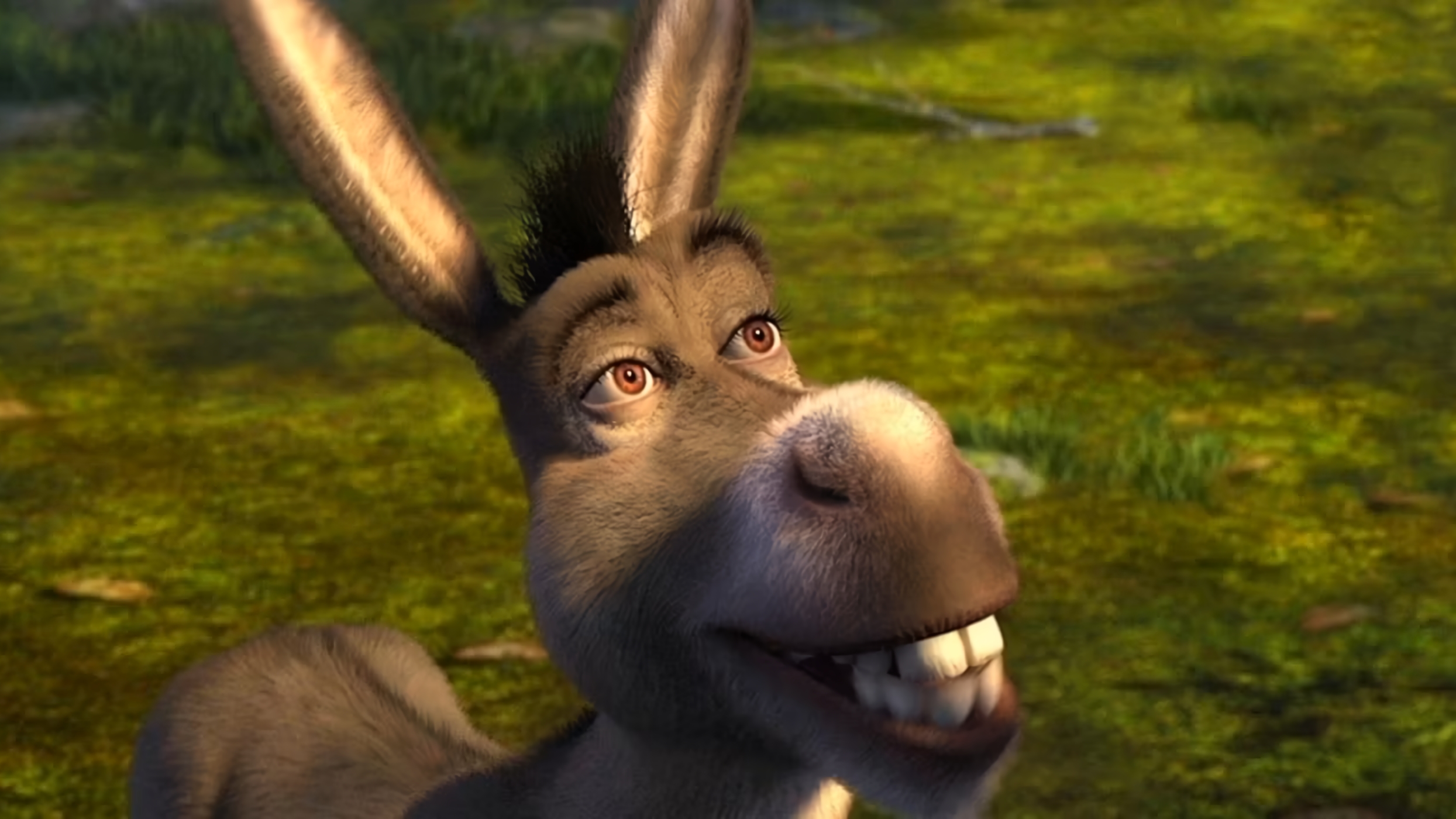 ‘Donkey’, el spin-off de ‘Shrek’ basado en Asno (Burro) es oficial y tiene fecha de estreno