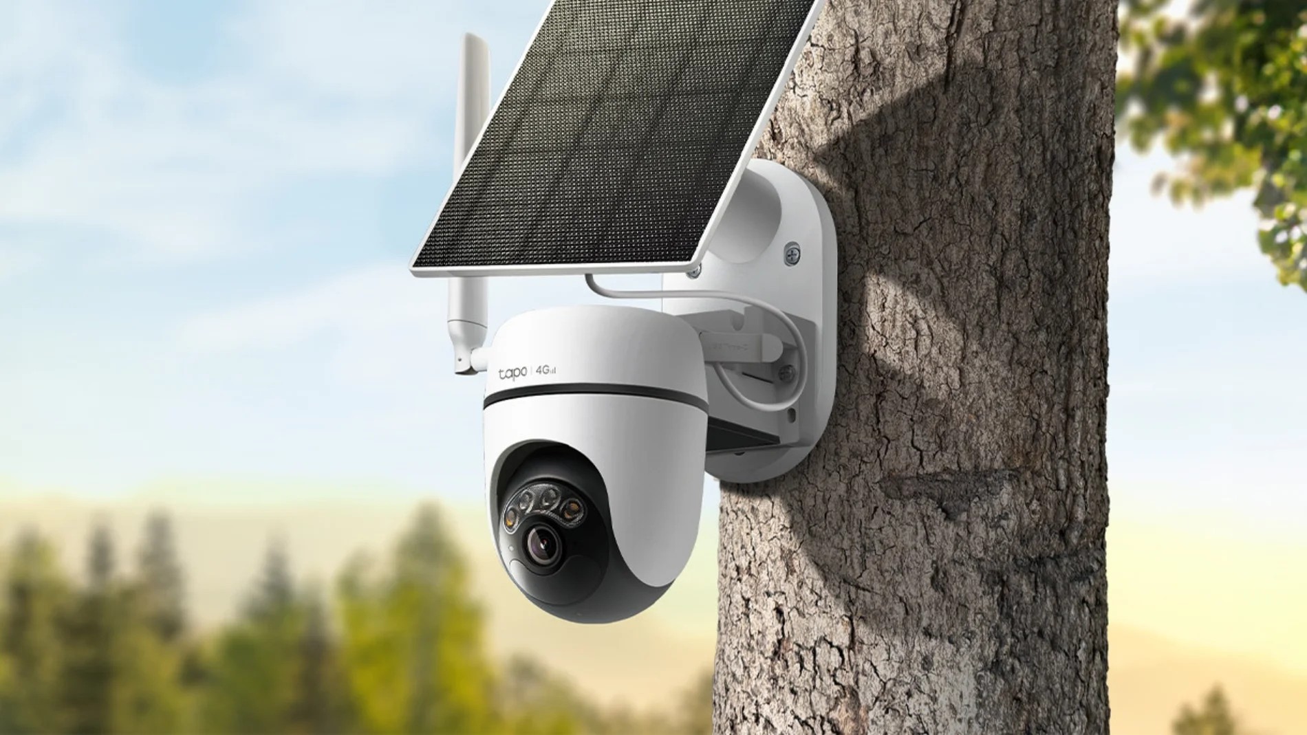 ¿Estás perdido buscando la cámara de seguridad perfecta? Aquí tienes una serie de recomendaciones que te ayudarán