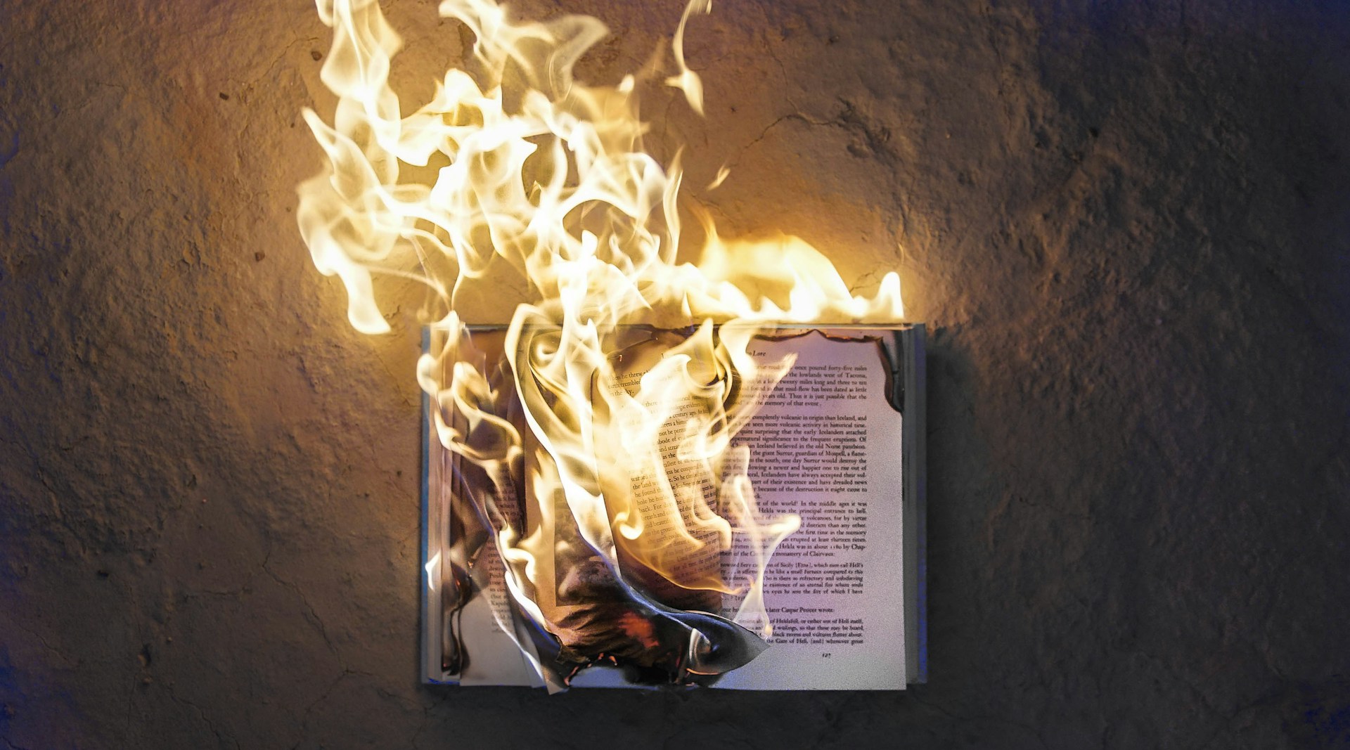 Amazon destruye libros para entrenar IA